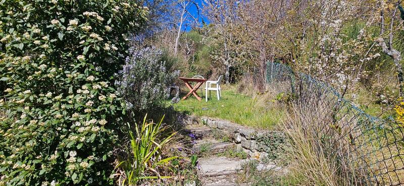 Maison - 55 m² - 3 pièces