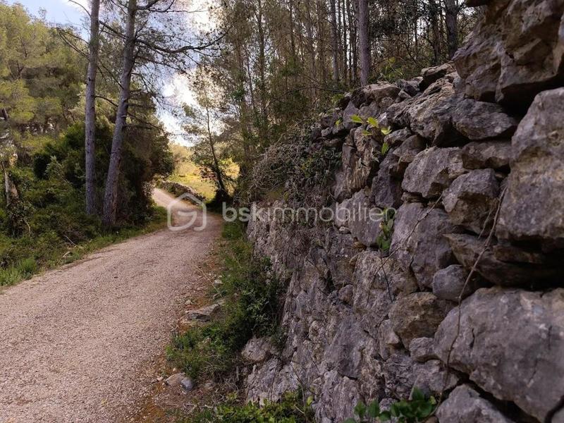 Terrain agricole - 7 800 m²