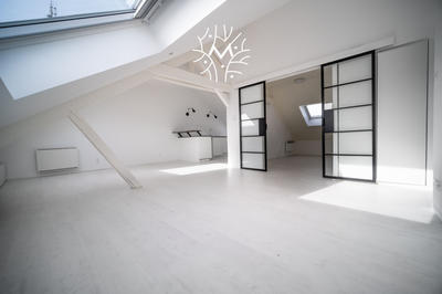 Loft - 45 m² - 4 pièces