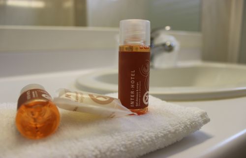 Inter Hotel Albi le Cantepau