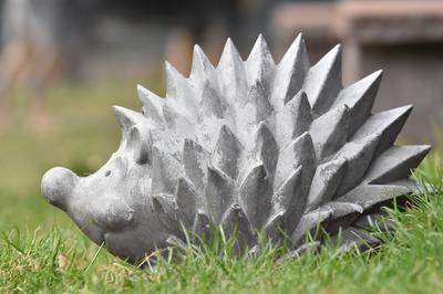 Atelier modelage - les petits animaux d'hiver