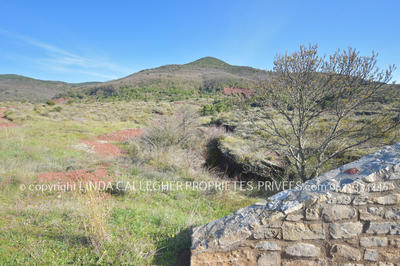 Terrain agricole - 44 350 m²