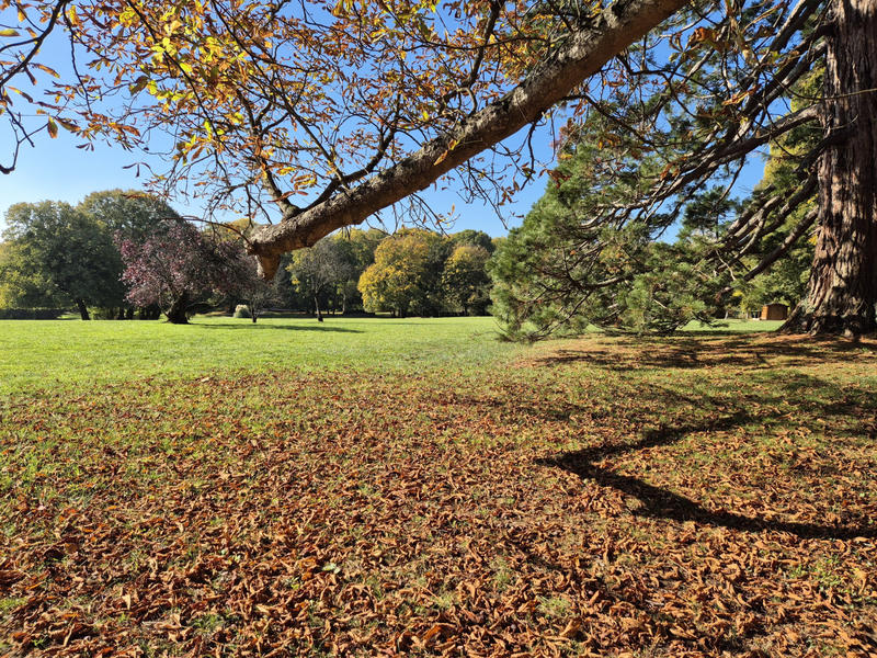 Appartement - 21 m² - 1 pièce