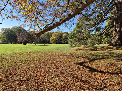 Appartement - 21 m² - 1 pièce