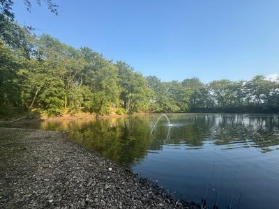 Propriété - 8 200 m² - 1 pièce