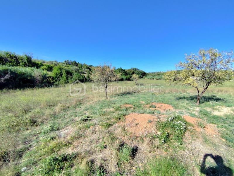 Terrain agricole - 4 201 m²