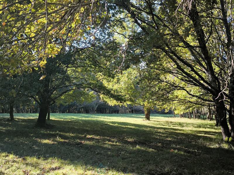 Maison de maîtres - 280 m² - 11 pièces