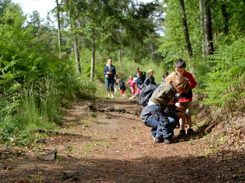 L’Eveil des sens des tout-petits