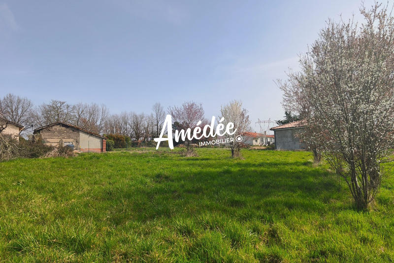 Terrain - 11 647 m²