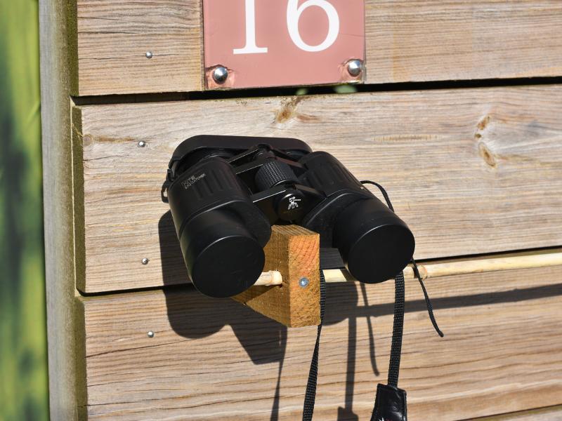 Samedi ornitho à Terres d'Oiseaux