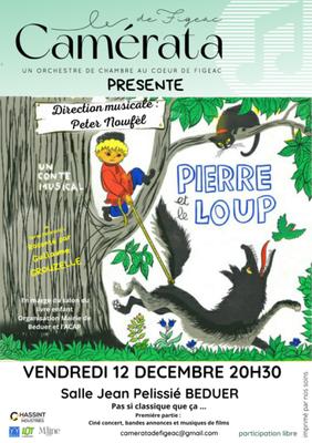 Concert  à Béduer de l'orchestre de chambre Camérata : &quot;Pierre et le Loup&quot;