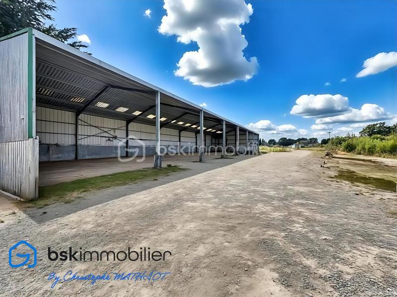 Entrepôt - 1 700 m² - 12 pièces