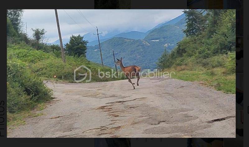 Maison - 40 m² - 2 pièces