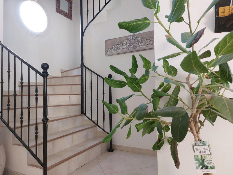 Villa - 219 m² - 6 pièces