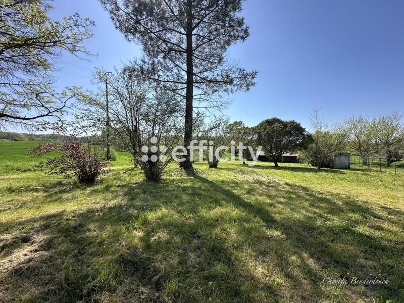 Maison en pierre - 147 m² - 8 pièces