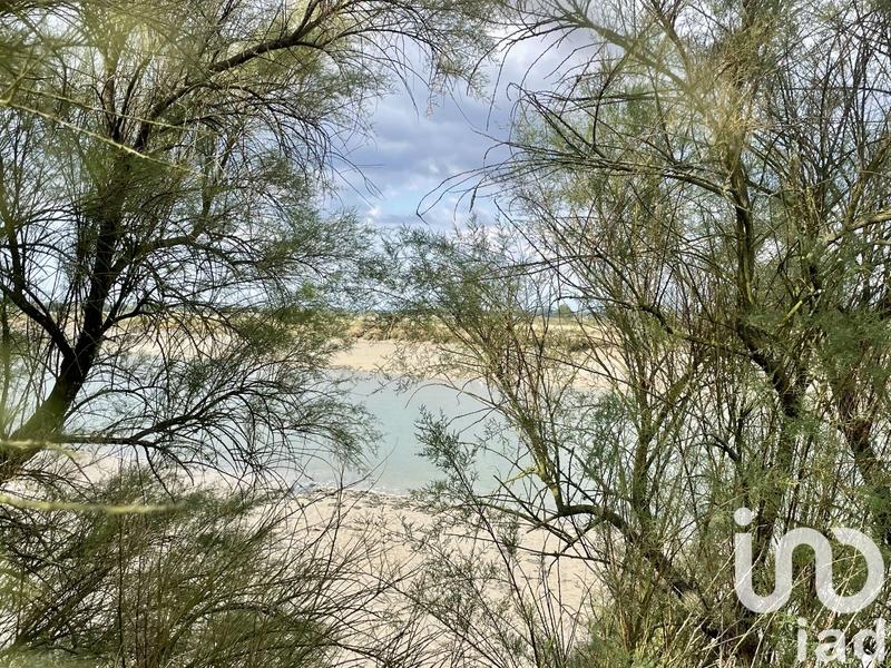 Maison - 31 m² - 3 pièces