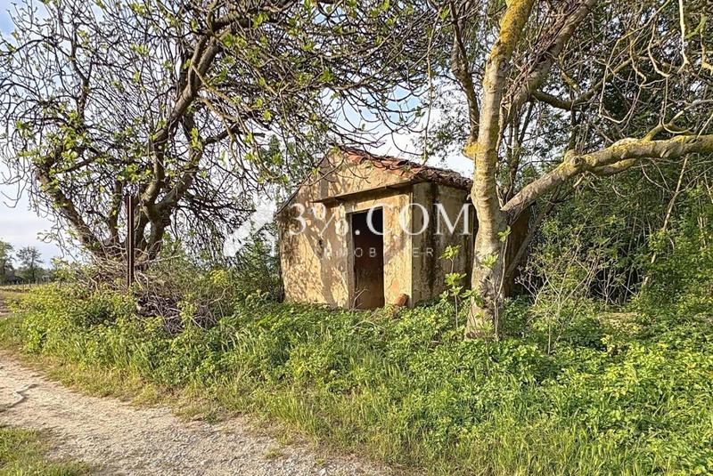 Terrain de loisirs - 4 558 m²