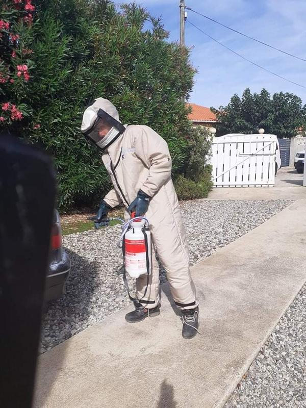 Chasseur de frelon 66