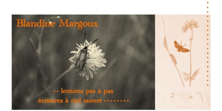 Les oranges • Atelier d'écriture créative