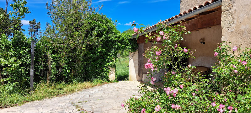 Mas - 192 m² - 7 pièces