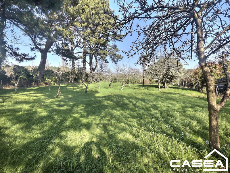 Maison ancienne - 90 m² - 5 pièces