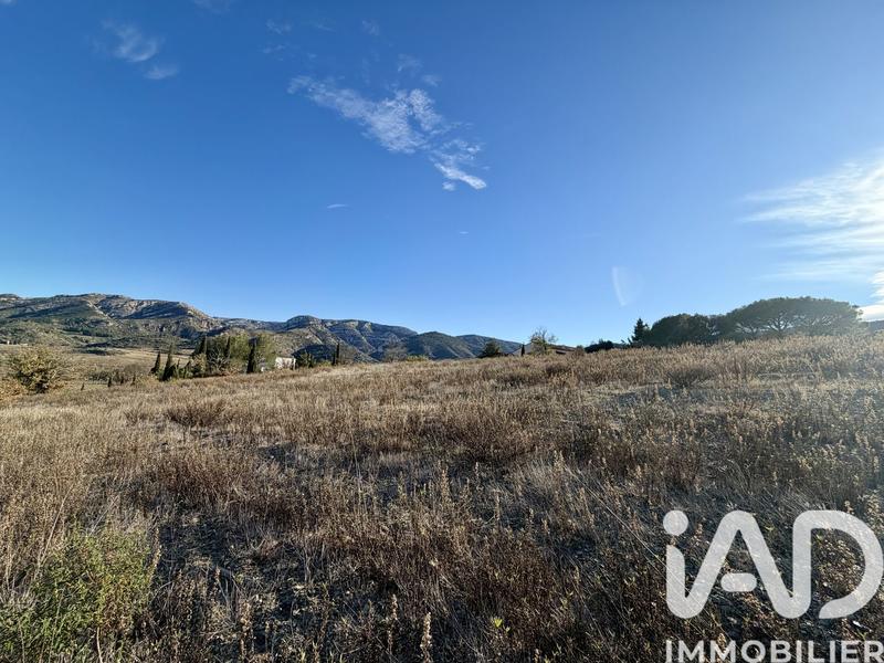 Terrain - 10 736 m²