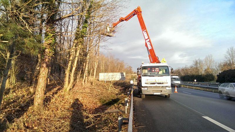 Langin Elagage, Travaux d'élagage et Abattage