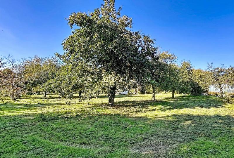 Maison de campagne - 131 m² - 7 pièces