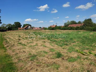 Terrain - 1 194 m²