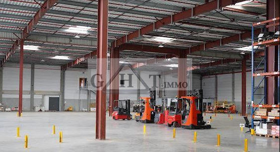Entrepôt - 12 000 m²