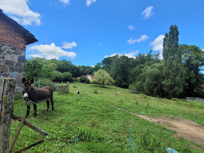 Maison - 118 m² - 6 pièces