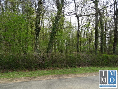 Terrain - 20 176 m²