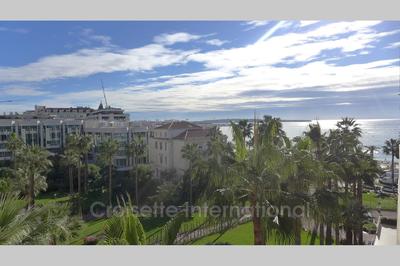 Appartement - 31 m² - 1 pièce