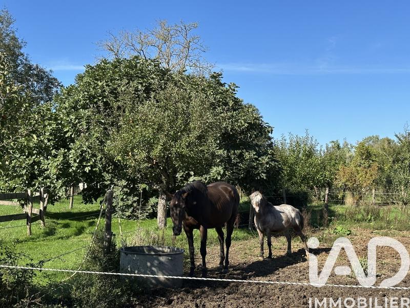 Maison - 133 m² - 5 pièces