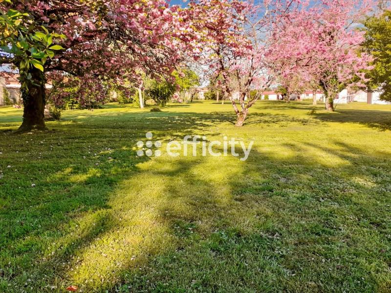 Propriété - 436 m² - 16 pièces