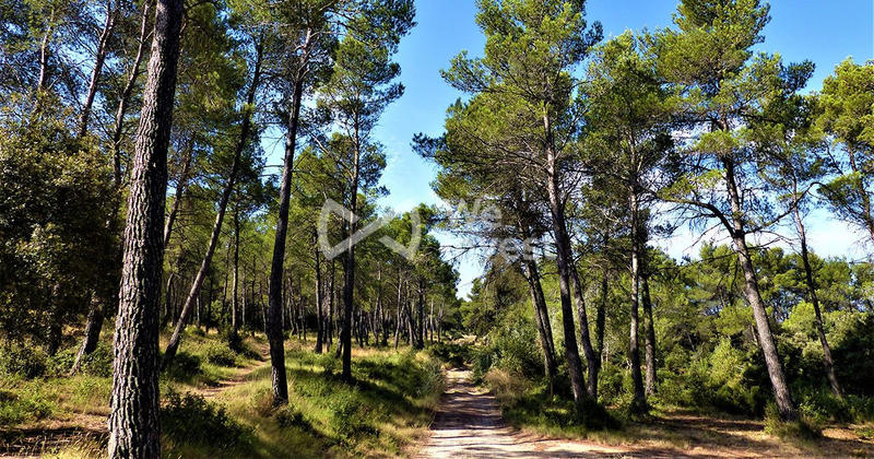 Maison - 160 m² - 4 pièces