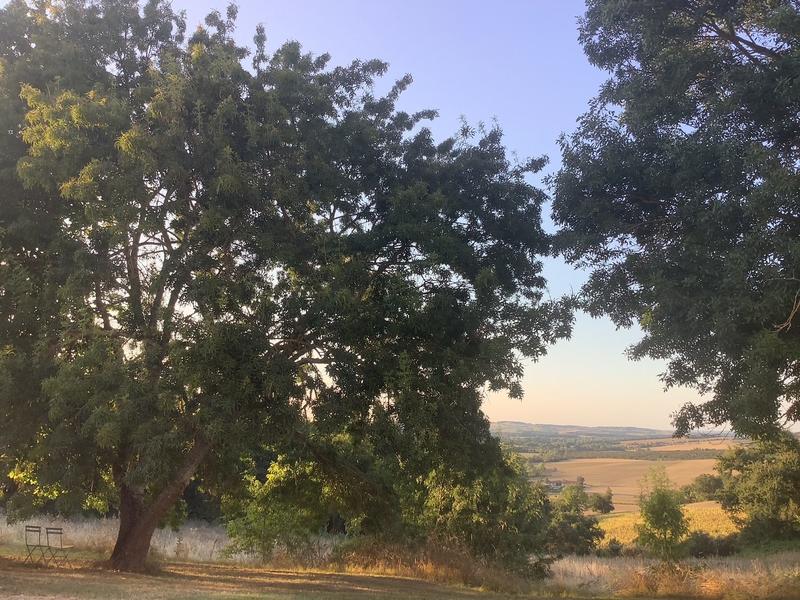 Maison - 429 m² - 10 pièces