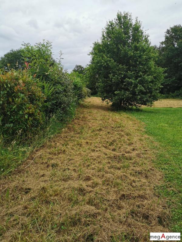 Terrain constructible - 2 388 m²