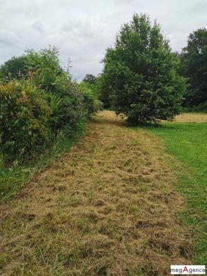 Terrain constructible - 2 388 m²