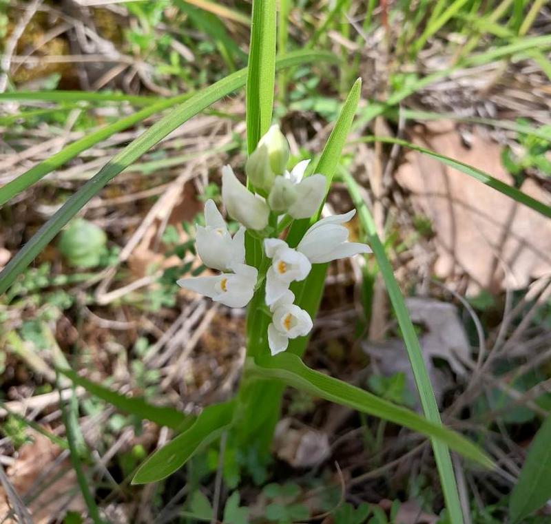 Le sentier des 5 sens au Domaine les Hauts de Riquets balade gourmande