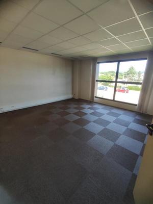 Bureau - 284 m² - 13 pièces