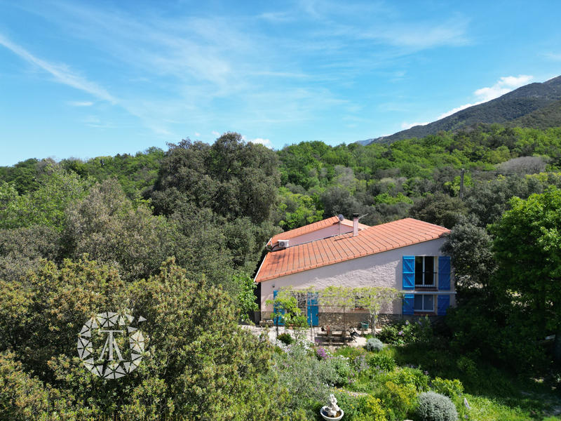 Mas - 239 m² - 6 pièces