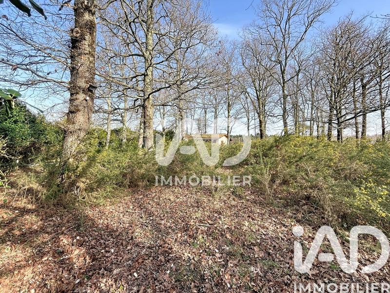 Maison - 35 m² - 2 pièces