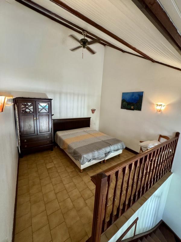 Studio - 30 m² - 1 pièce