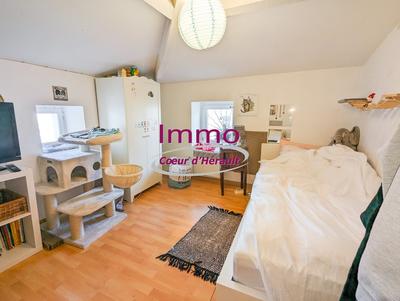 Immeuble mixte - 175 m²