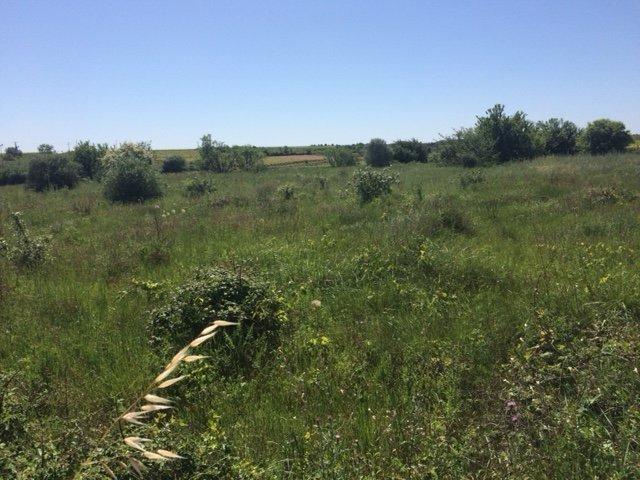 Terrain agricole - 5 070 m²