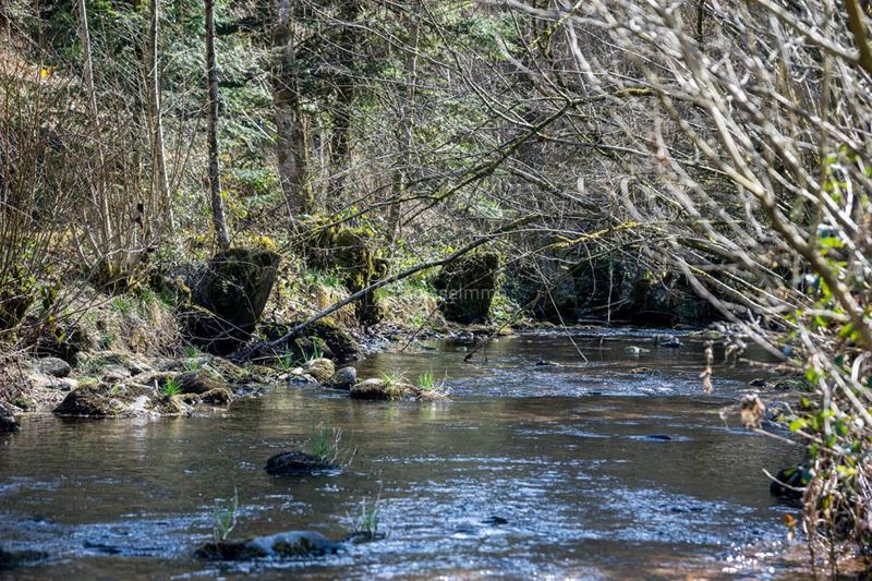 Maison - 87 m² - 5 pièces