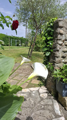 Maison - 128 m² - 5 pièces