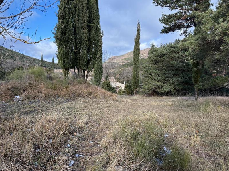 Maison - 246 m² - 8 pièces