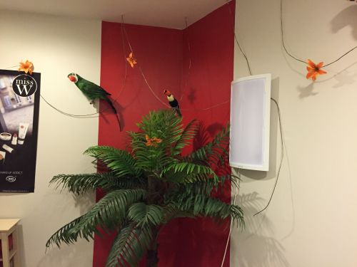 Beauté Zen Institut